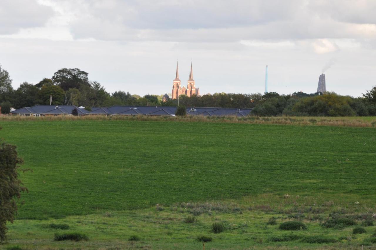 Kaergaard Bed & Breakfast Roskilde Luaran gambar